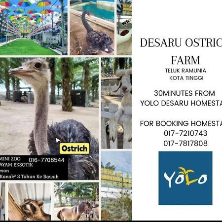 Desaru Homestay-Eva Villa Pool Homestay By Yolo Resort Bandar Penawar Εξωτερικό φωτογραφία